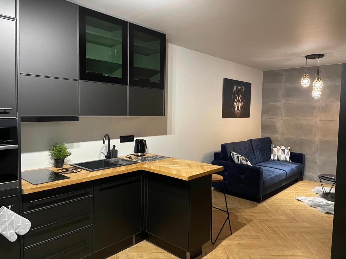 Apartamenty Szary Wilk - Klimatyczne Apartamenty Dla 2 Osob - Blisko Centrum -Bezplatny Parking Zakopane Ngoại thất bức ảnh