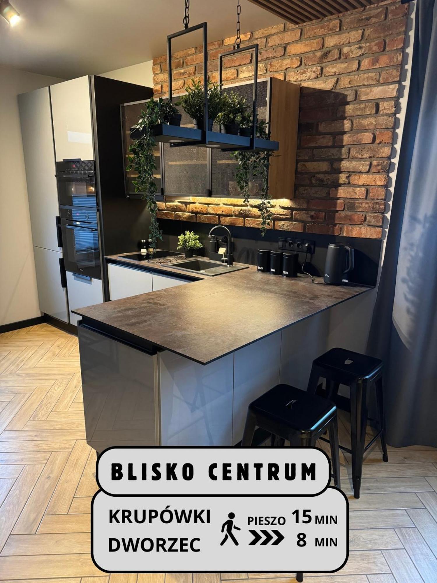 Apartamenty Szary Wilk - Klimatyczne Apartamenty Dla 2 Osob - Blisko Centrum -Bezplatny Parking Zakopane Ngoại thất bức ảnh